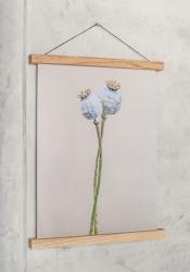 Woodsea Frame S - Rama magnetică de stejar S (A4) 1208971603